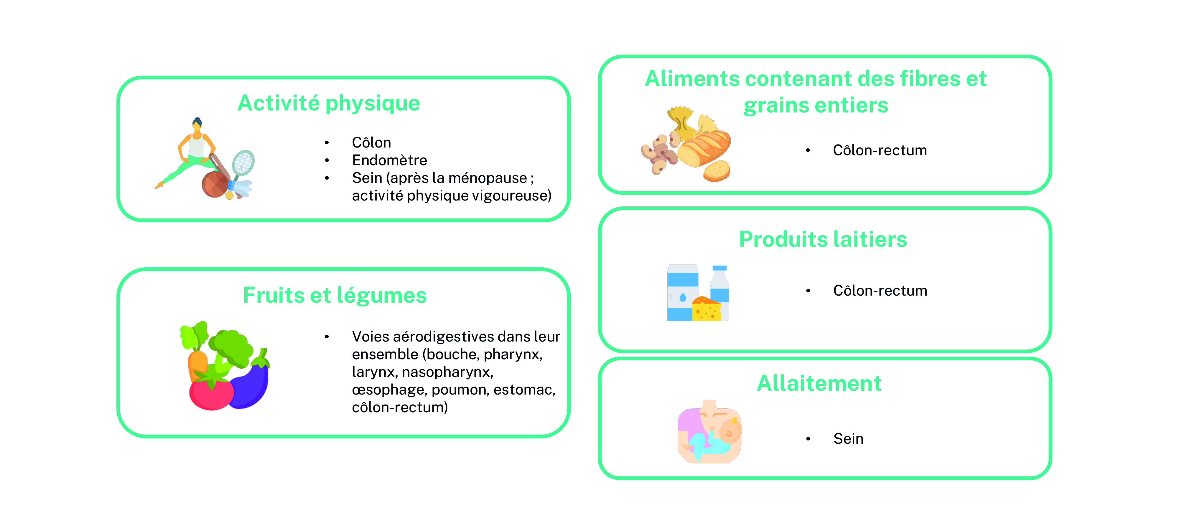 Facteurs nutritionnels diminuant le risque de cancer