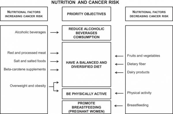Nutrition and cancer risk