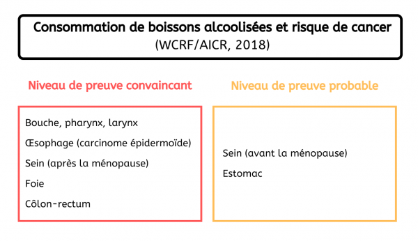 Localisation de cancers - Consommation alcool France 2019