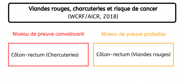  Localisation de cancers - Consommation viandes rouges et charcuteries France 2020