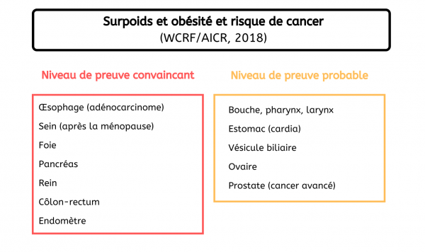Localisation de cancers - Surcharge pondérale France 2020