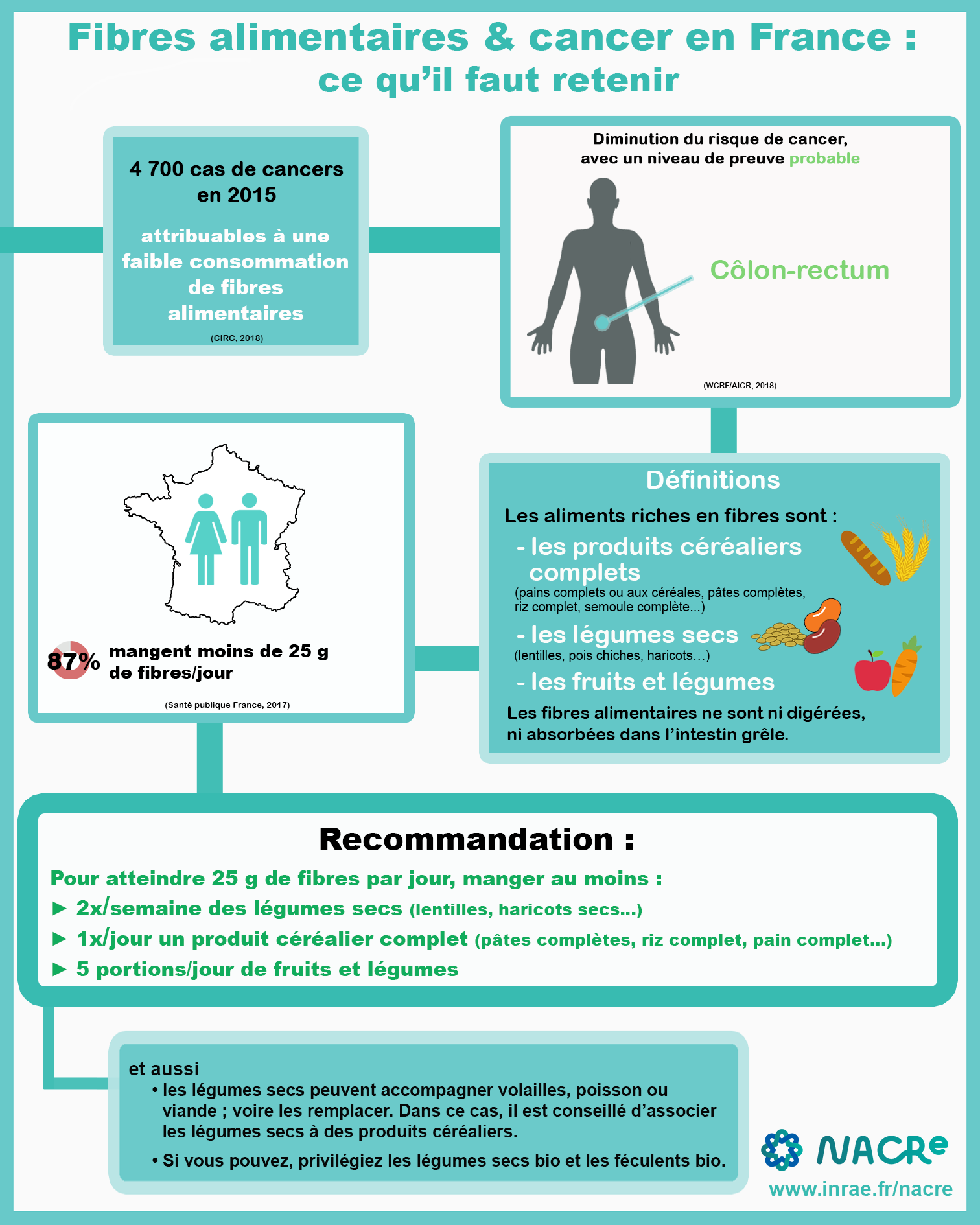 Infographie Fibres alimentaire et risque de cancer France 2020