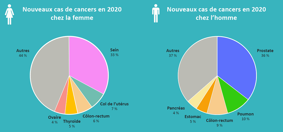 Graphique Cancers en Guyane