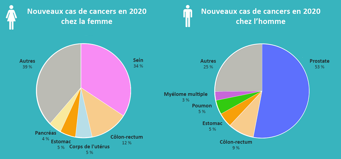 Graphique Cancers en Martinique