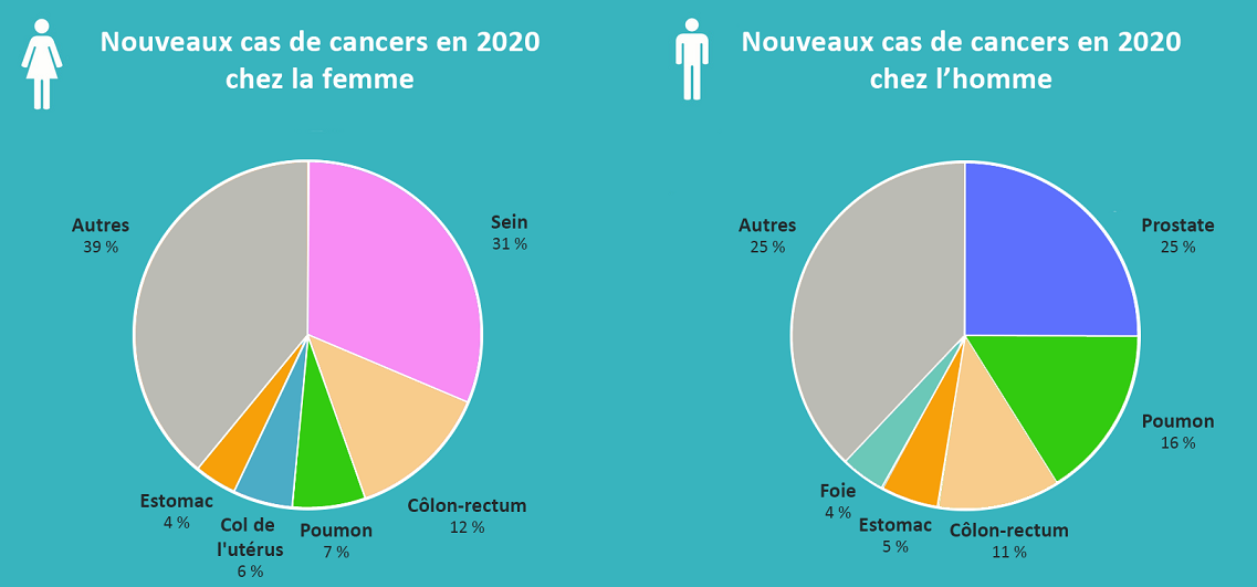 Graphique Cancers à la Réunion